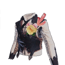 blossom vest alpha male