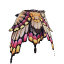 butterfly elytra beta female