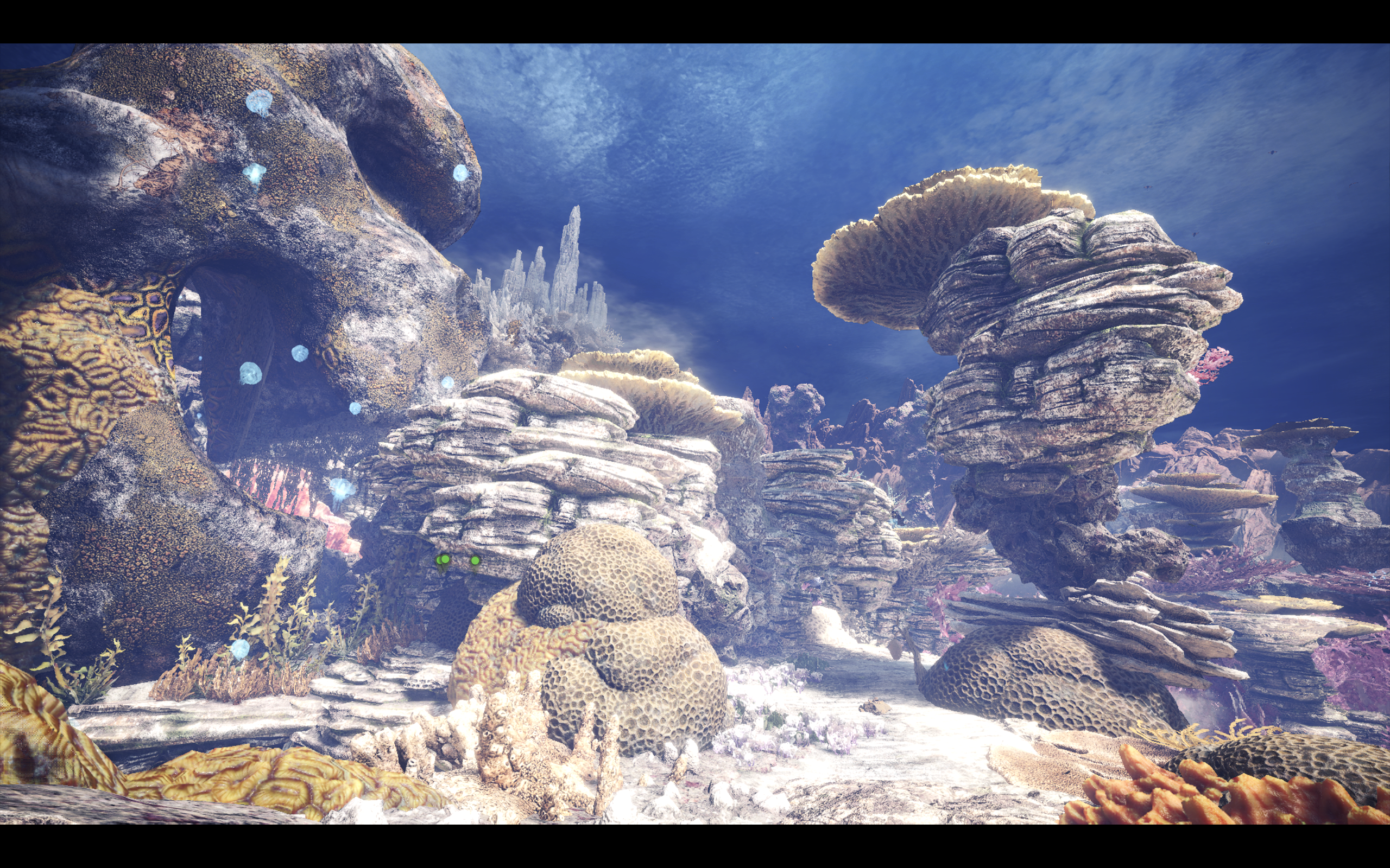 coral highlands 6