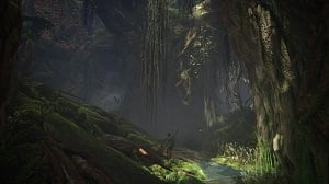 monster-hunter-world-ancient-forest-location