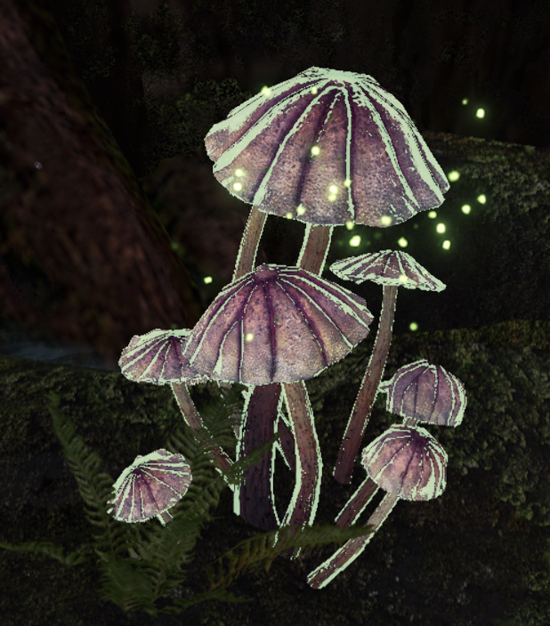 unique mushroom colony