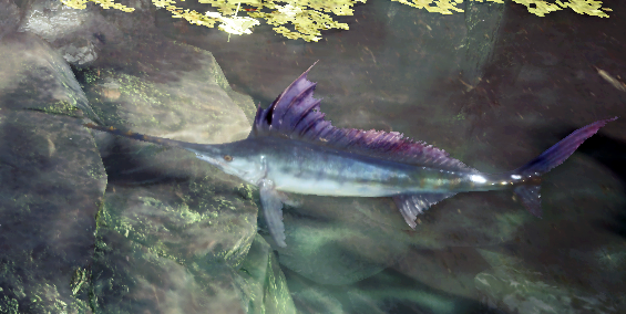King-Marlin-monster-hunter-world-endemic-life