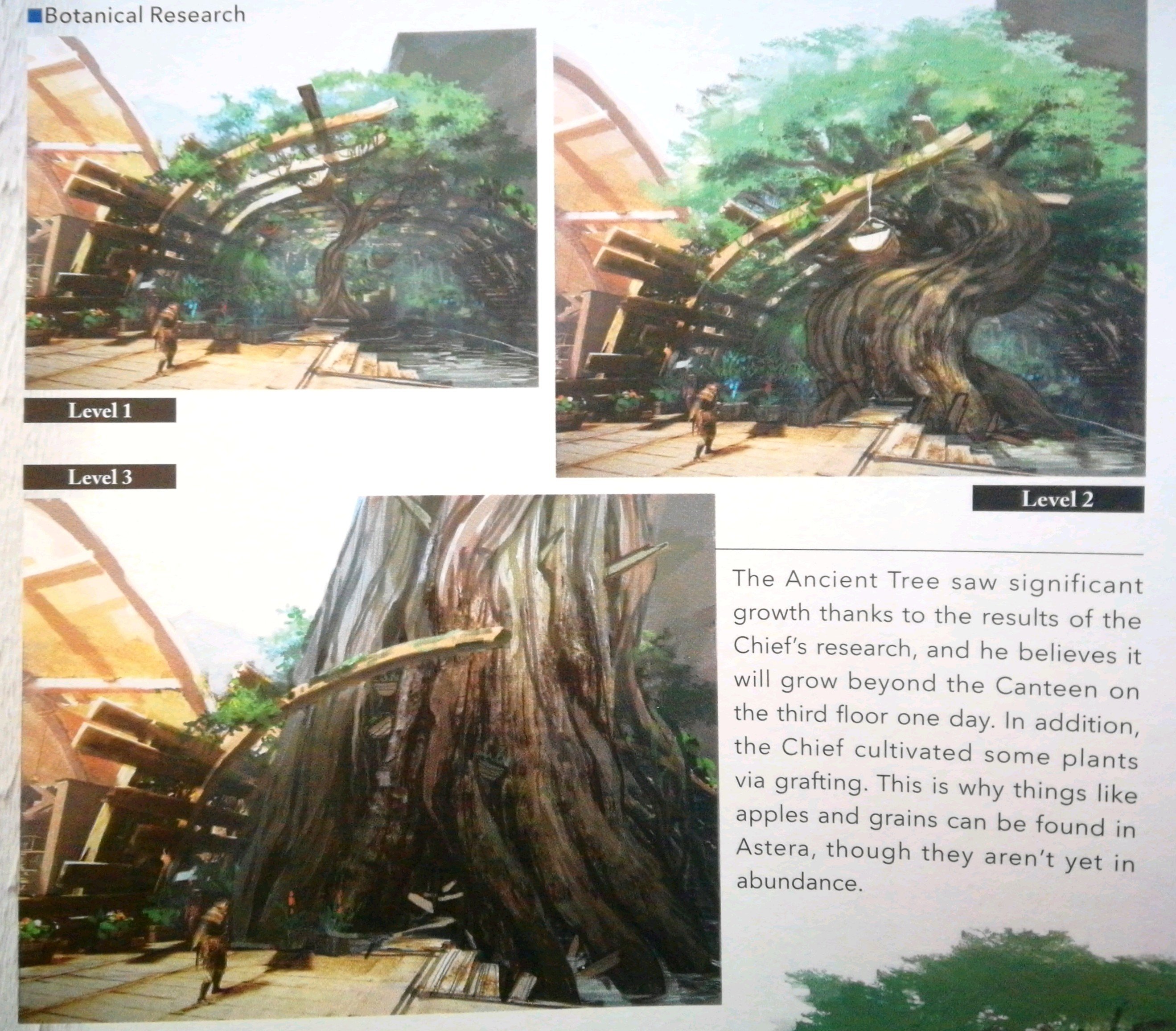 ancient tree sketches