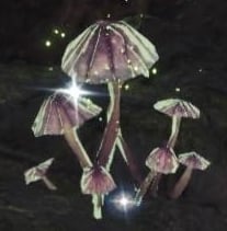 moonlit mushroom 2